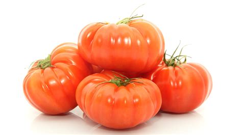 牛番茄屬性|牛番茄 (Beefsteak Tomato)